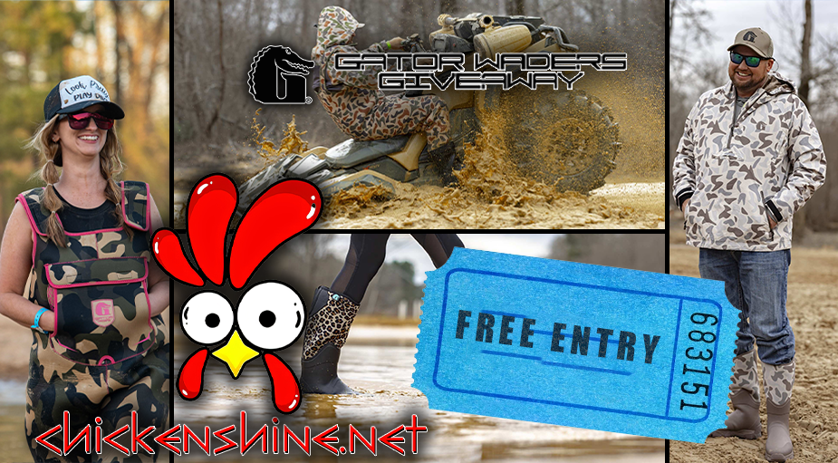 FREE ENTRY