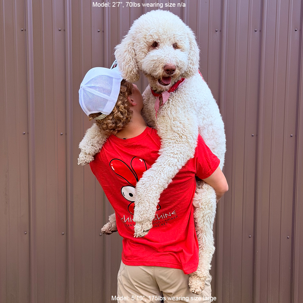 Chicken Shine Short Sleeve T-Shirt